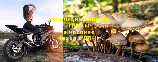 гидра Архангельск