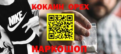дурь Камышлов