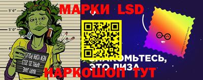 амф Кандалакша